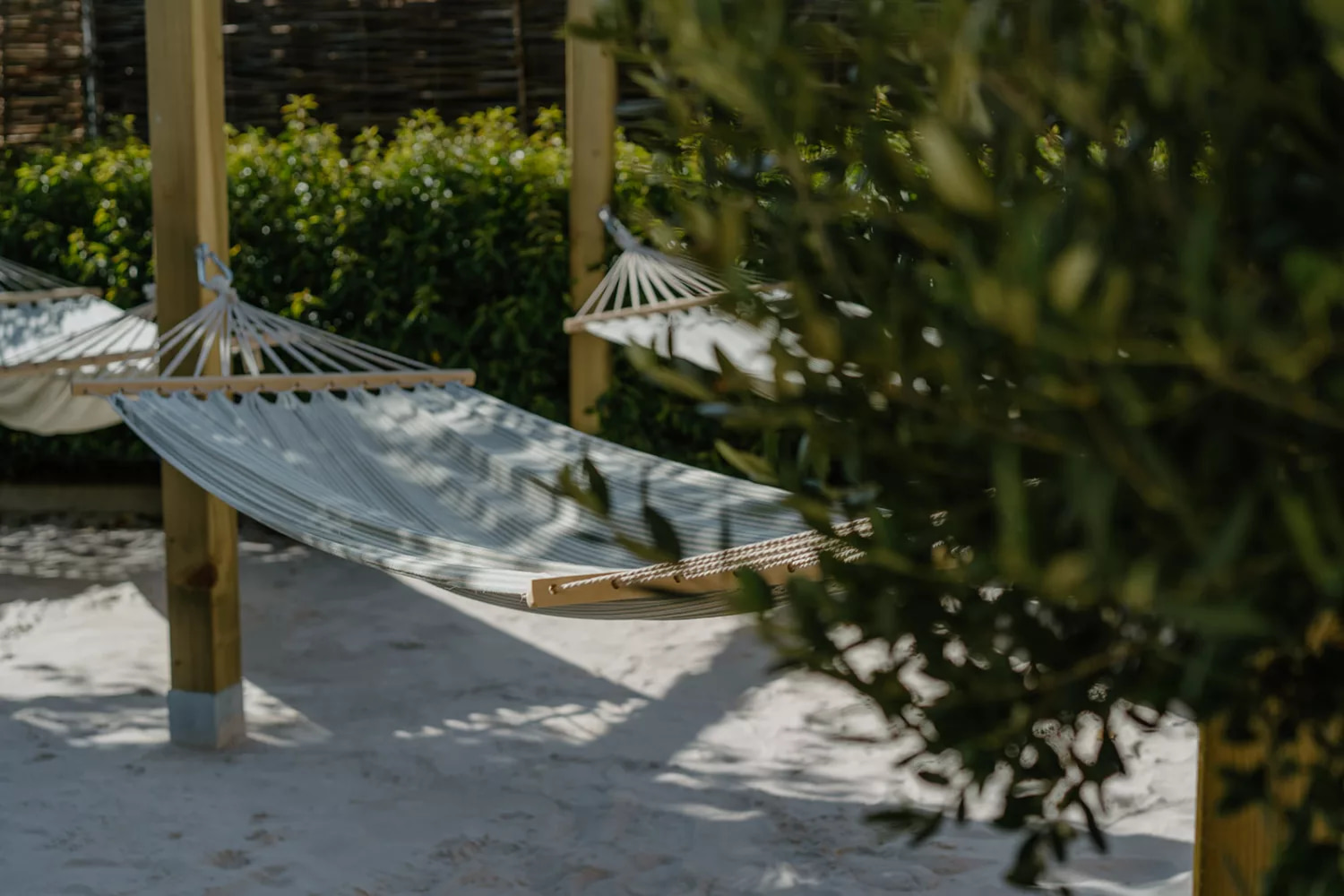 lounge bar sané zomer bij sauna sané, lounge bar